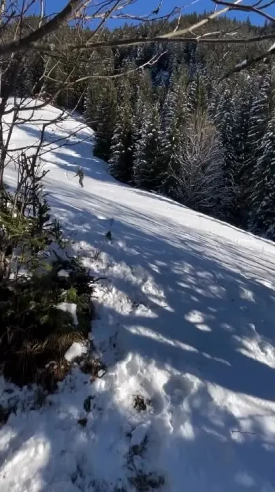 Видео от Парашютное видео