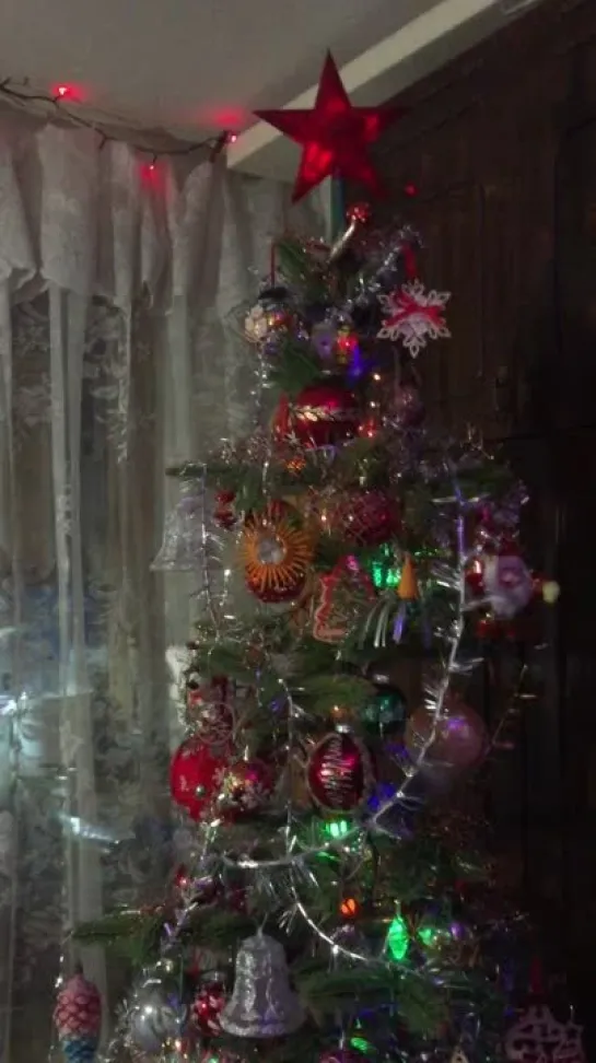 Our lovely NY tree 19.12.2021