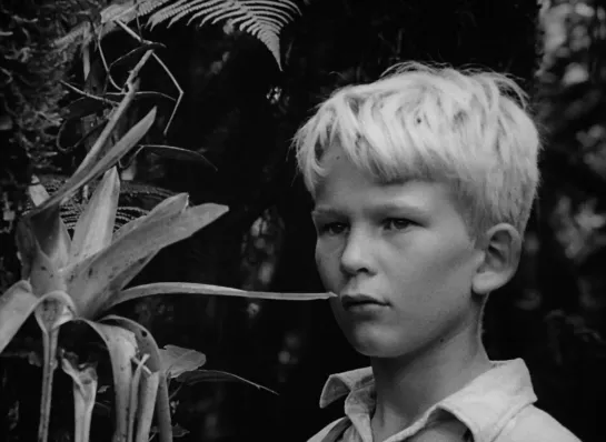 Повелитель мух / Lord of the Flies (1963 Великобритания) драма триллер приключения дети в кино Реж Питер Брук / Peter Brook