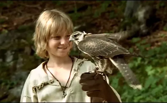 Сокольничий Томас / Сокольник Томаш / Thomas the Falconer /Král sokolu (2000 Германия,Франция,Польша) дети в кино приключения)