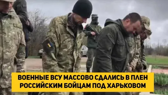 Военные ВСУ массово сдались в плен российским бойцам под Харьковом