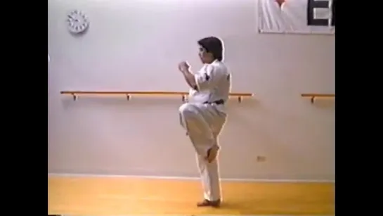 Enshin-karate_sabaki method_1