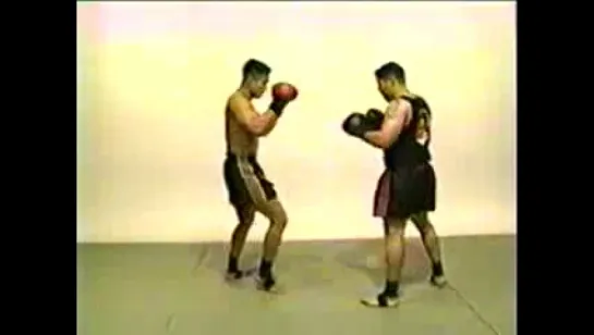 Cung Le San Shou Vol3 SanShou Effective Takedowns