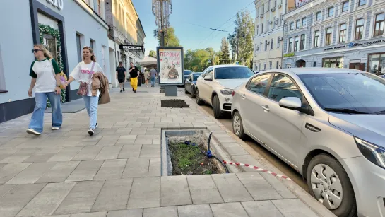 На улице Куйбышева вместо деревьев появились клумбы с авто-поливом.