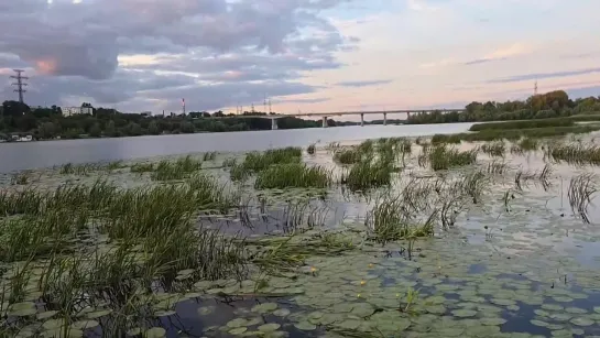 Температура воды в Самарке. Онлайн. 28 июня.