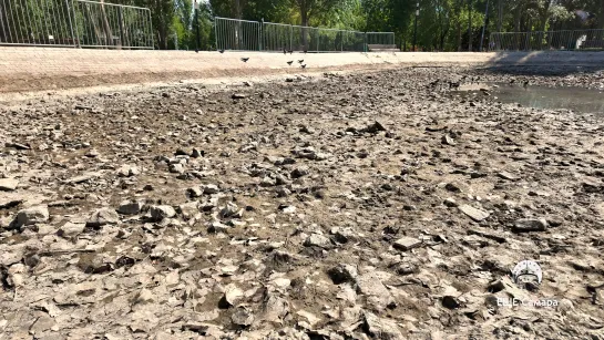 В парке Победы пересыхает озеро.