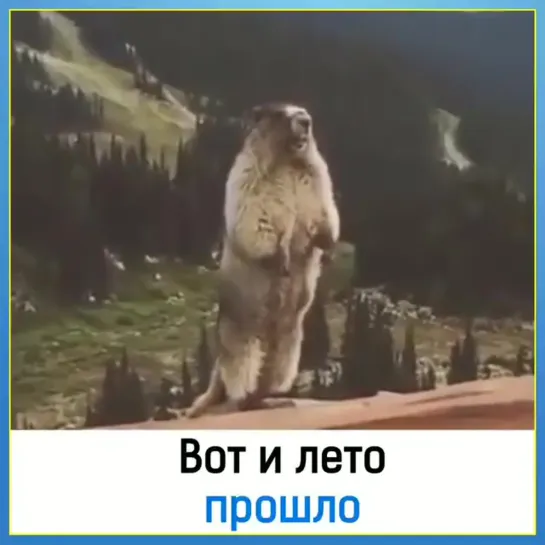 А вот и лето прошло...