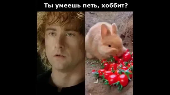 Ты умеешь петь, Хоббит?