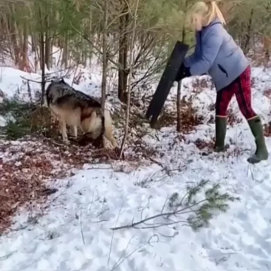 Не каждый бы решился спасти