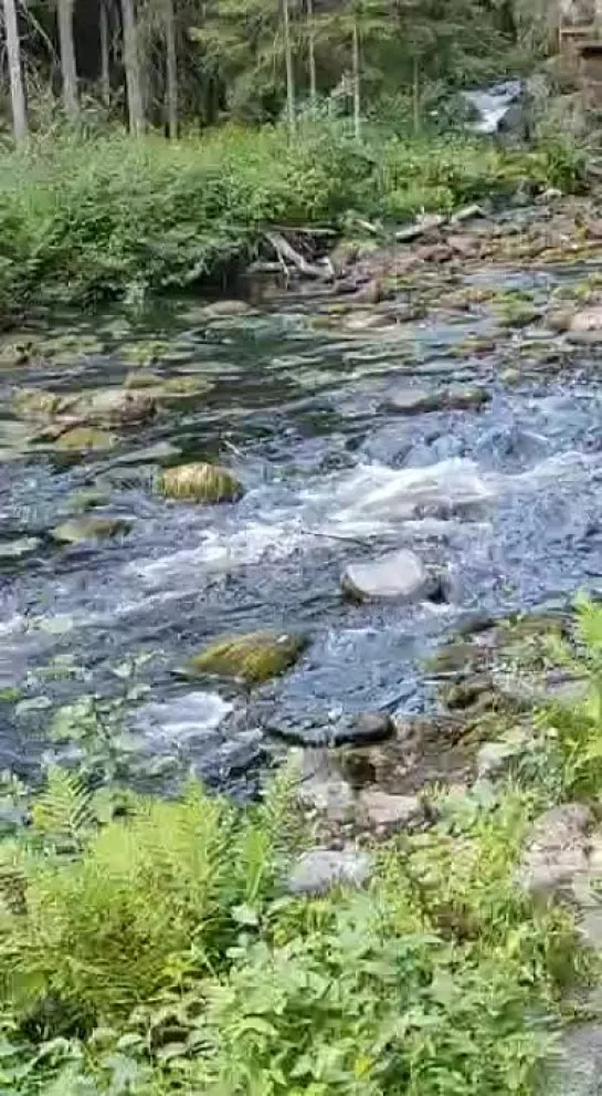 Видео от Анны Васильевой