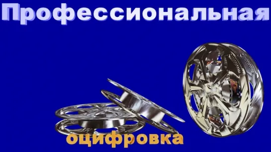 Профессиональная оцифровка