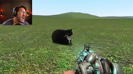 markiplier cries over cat exploding