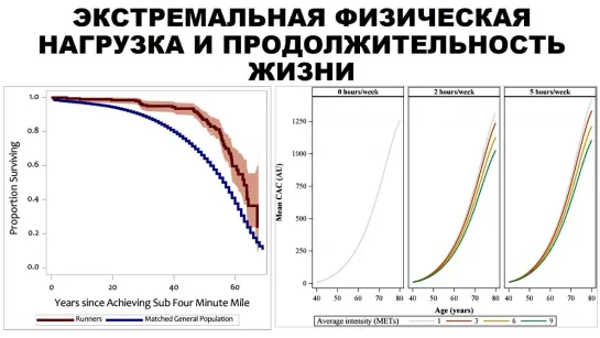 ЭКСТРЕМАЛЬНАЯ ФИЗИЧЕСКАЯ НАГРУЗКА И ПРОДОЛЖИТЕЛЬНОСТЬ ЖИЗНИ | Александр Мирошников