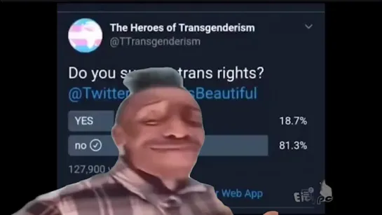 my reaction to the trans rights