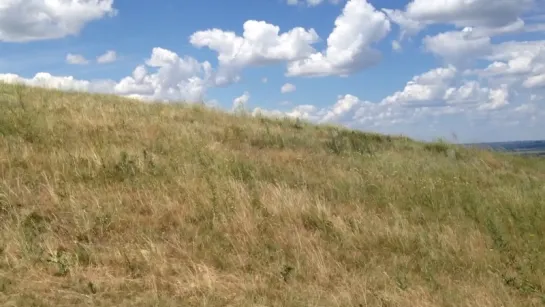 Саур Могила сегодня. Видео от Чепая