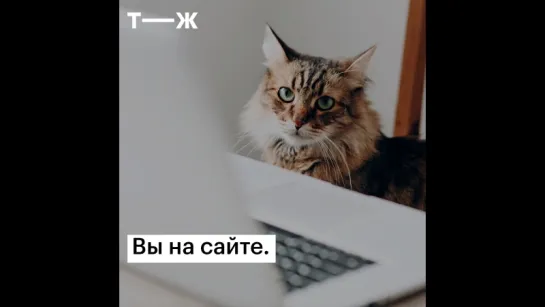 Опасные обновления