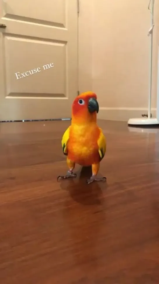 Видео от BIRBS HUB