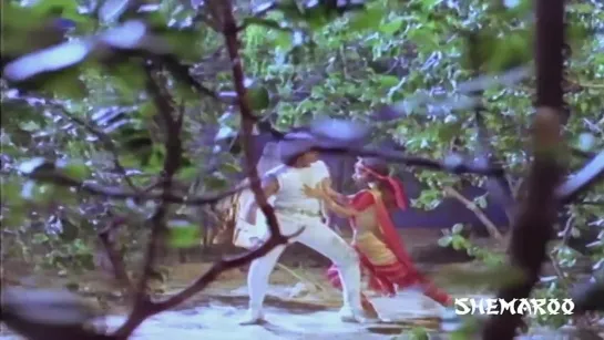 Raja Vikramarka movie songs - Naagini Vo Bhoginivo song - Chiranjeevi, Amala, Raadhika.mp4