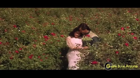 Phool Yeh Nahin Armaan - Suresh Wadkar, Kavita Krishnamurthy - Ek Ladka Ek Ladki 1992 - Salman Khan,.mp4