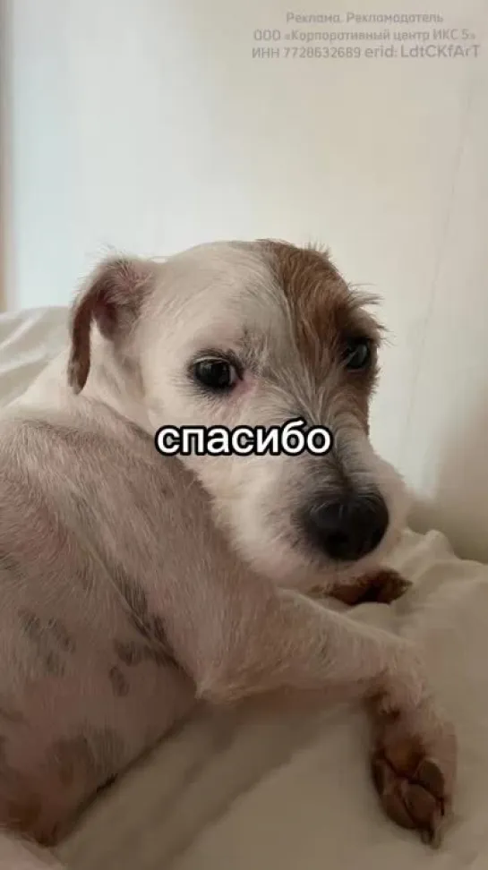 Ну спасибо