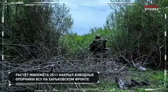 Видео от Vежливые. Zлые. СВОи.