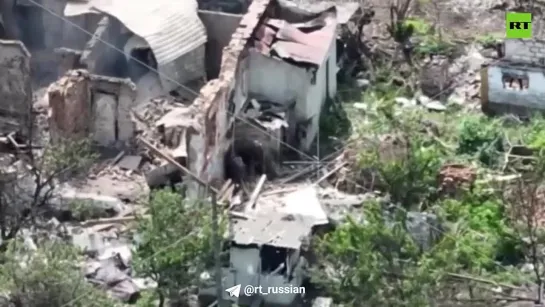 Видео от Vежливые. Zлые. СВОи.