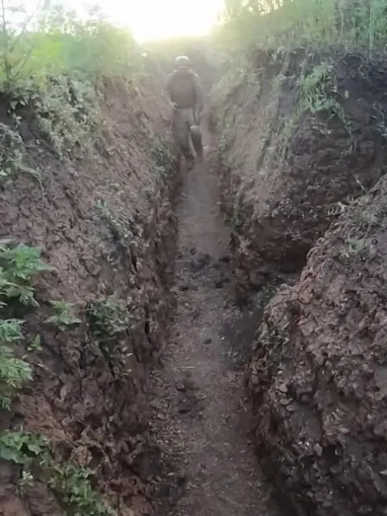 Видео от Vежливые. Zлые. СВОи.