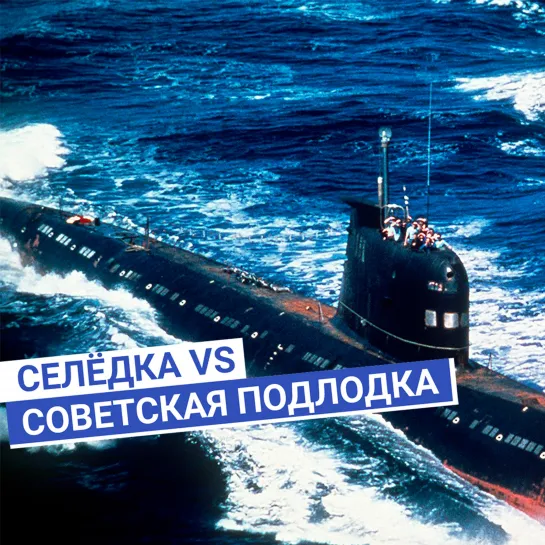 Селёдка вместо подлодки