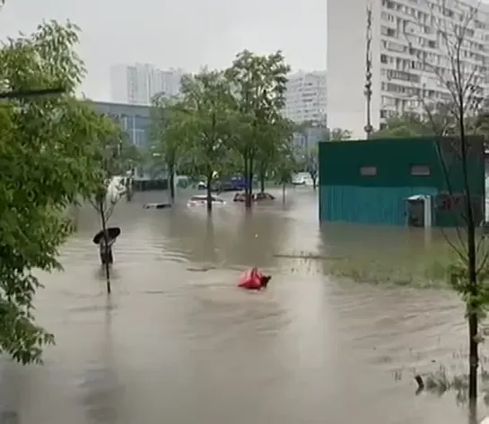 В Москве курьер, несмотря на шторм, вплавь доставил заказ клиенту [ND]