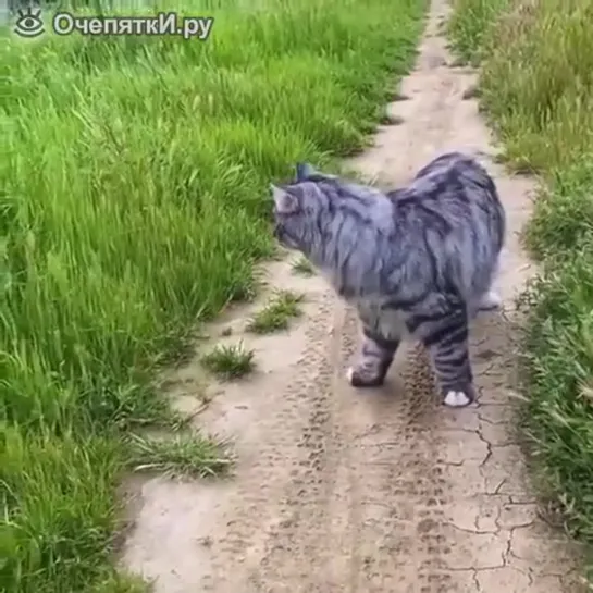 Видео от Фото года. Стопкадр. Путешествия, туризм.