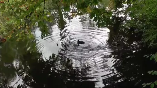 Видео от Фото года. Стопкадр. Путешествия, туризм.