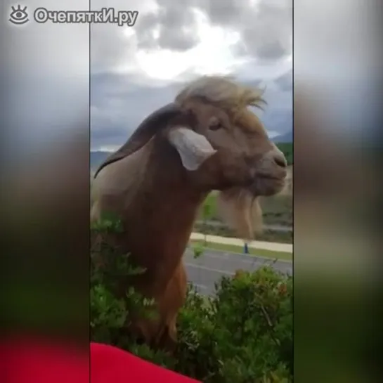 Видео от Фото года. Стопкадр. Путешествия, туризм.