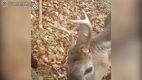 Видео от Фото года. Стопкадр. Путешествия, туризм.