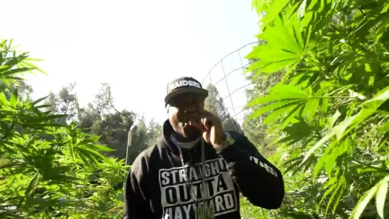 Spice 1 - High Enuff - ((New Single))  ✌