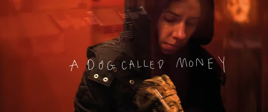 PJ Harvey  A Dog Called Money | DokStation 2019 | Trailer