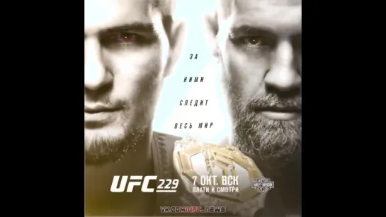 #UFC229