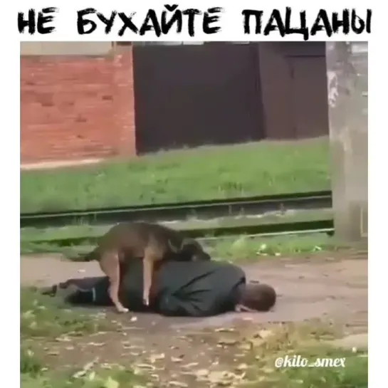 Не бухайте