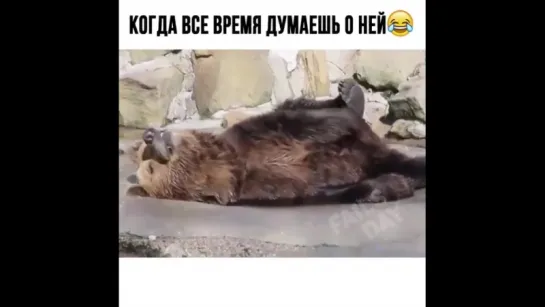 Думая о ней