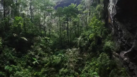 Hang Son Doong