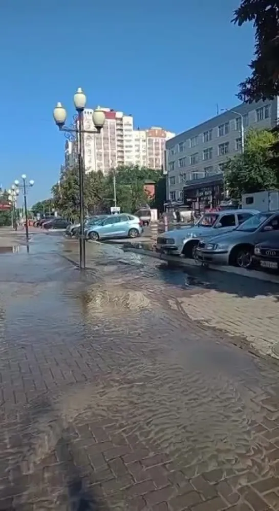 Видео от Белгород ПЕРВЫЙ