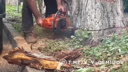 Видео от Белгород ПЕРВЫЙ