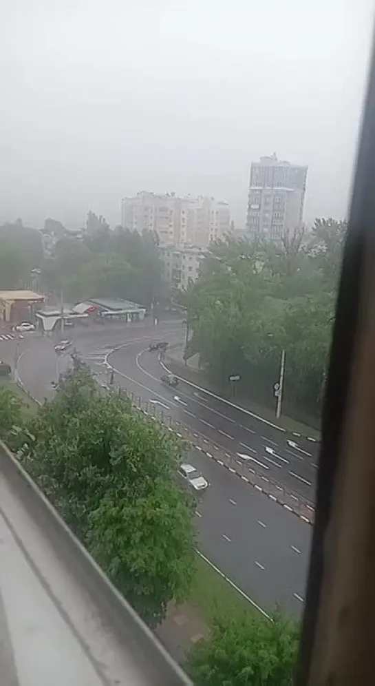 Видео от Белгород ПЕРВЫЙ