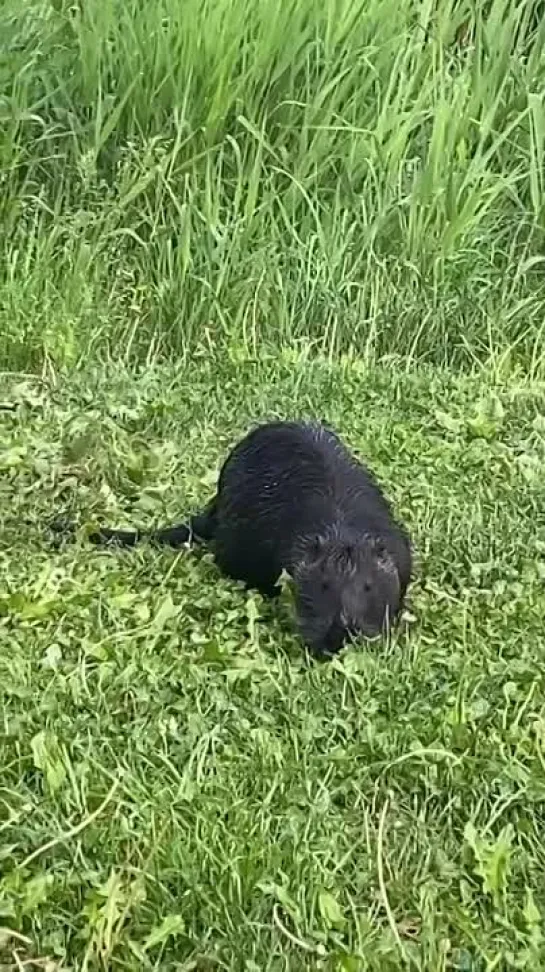 Видео от Белгород ПЕРВЫЙ