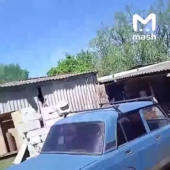 Видео от Белгород ПЕРВЫЙ