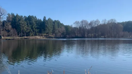 Видео от Александры Самойленко