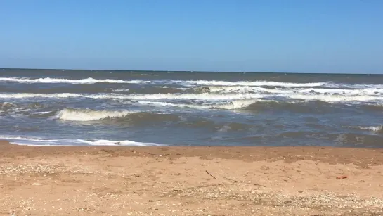 Видео от Александры Самойленко