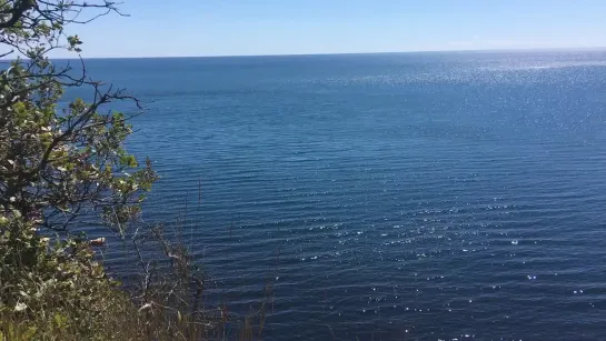 Видео от Александры Самойленко