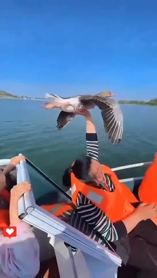 Видео от Женский дневник