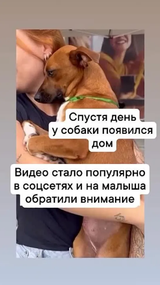 Видео от Женский дневник