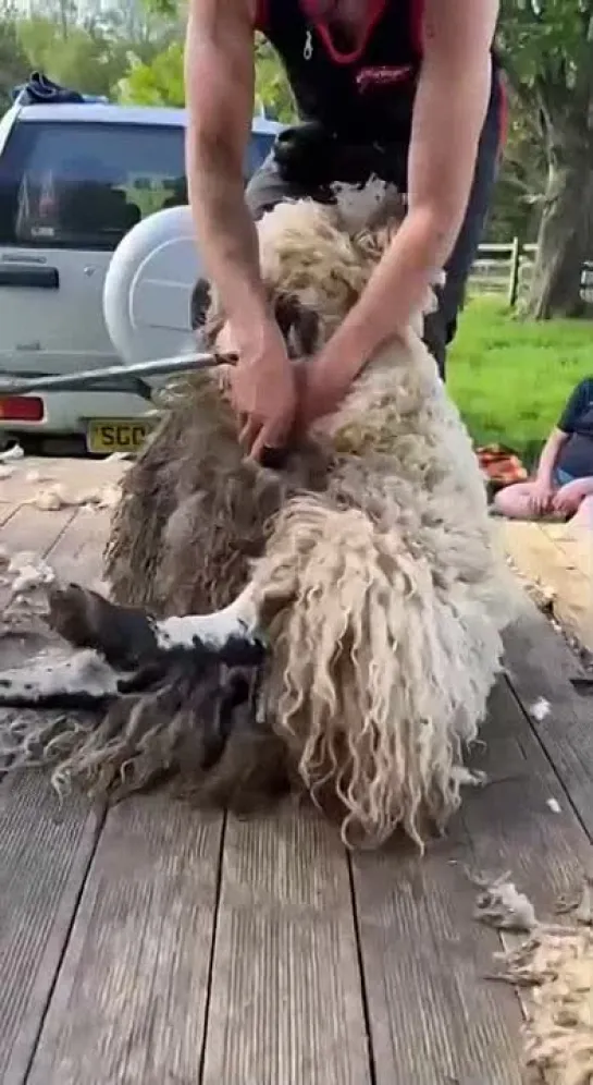 Видео от Женский дневник